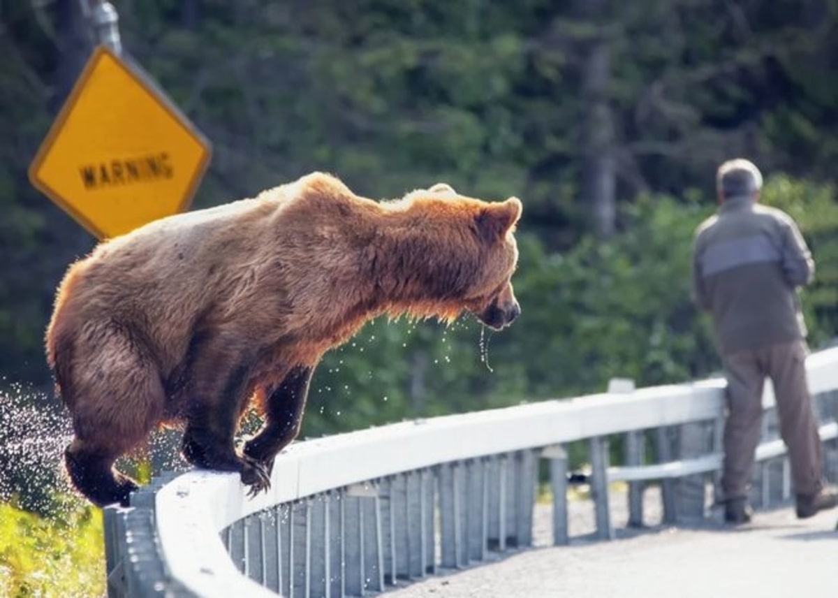 bitcoin halving bear threats