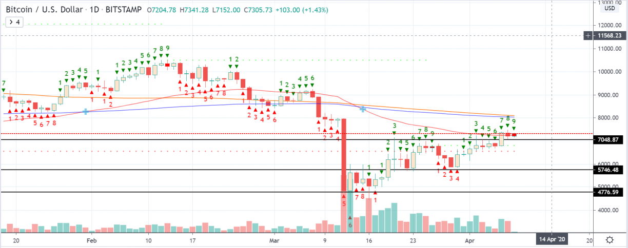 btcusd daily charts 