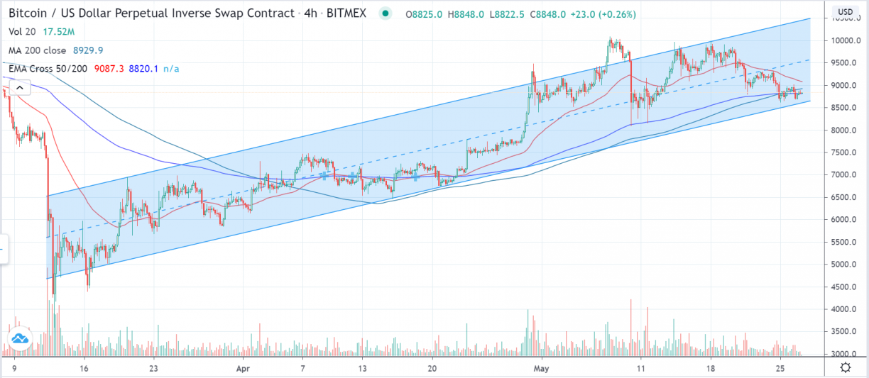 xbtusd trading view