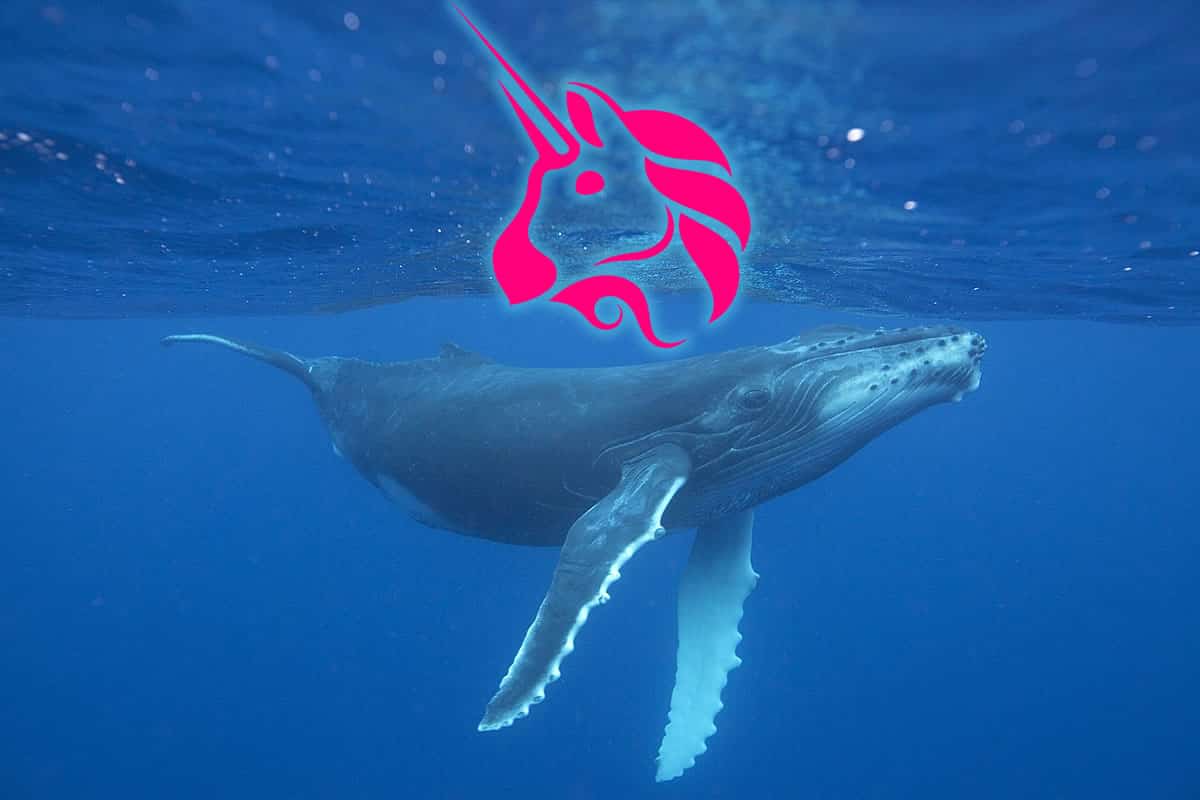 uniswap whales