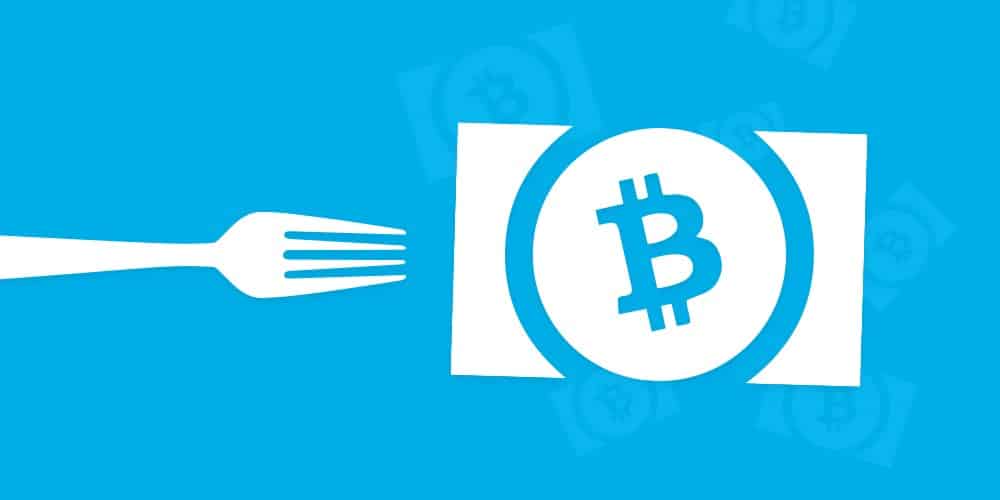 Bitcoin-ABC-Bitcoin-Cash-Node