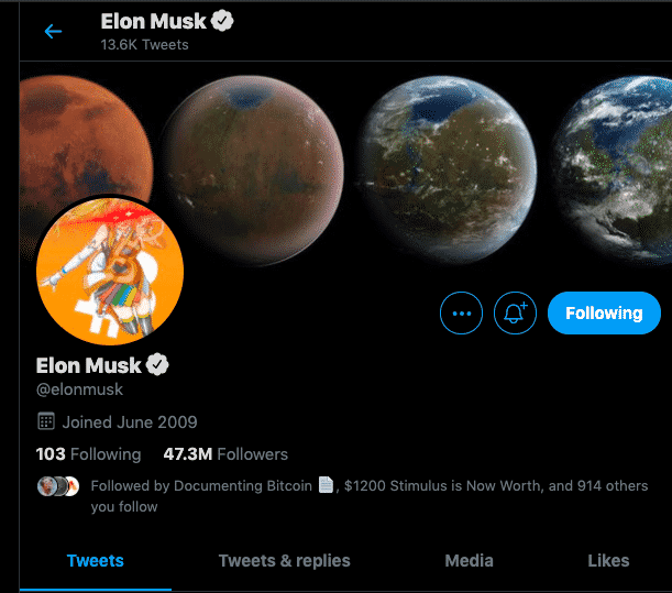 Elon Musk Bitcoin twitter Profile 