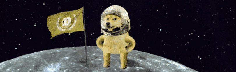 Elon