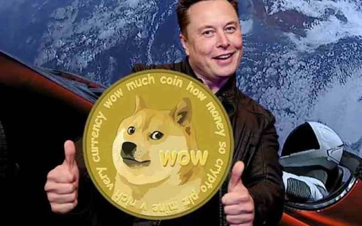 doge coin