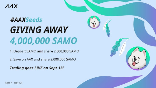 SAMO