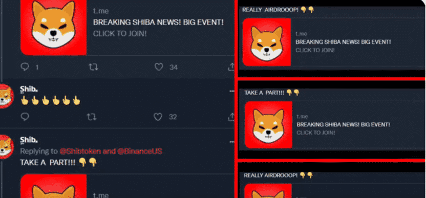 Shiba Inu