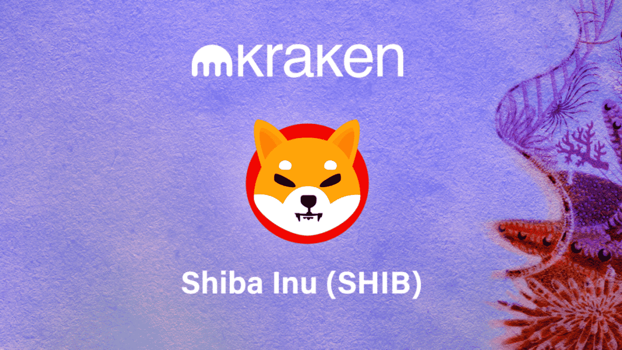 Shiba Inu Kraken