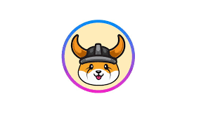 FLOKI token
