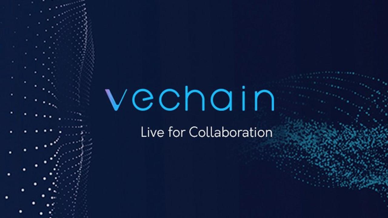 VET coin