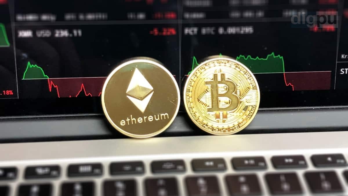 crypto bull run