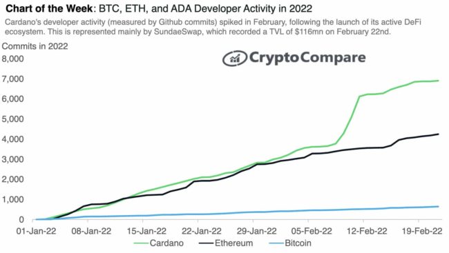 Ethereum developer activity