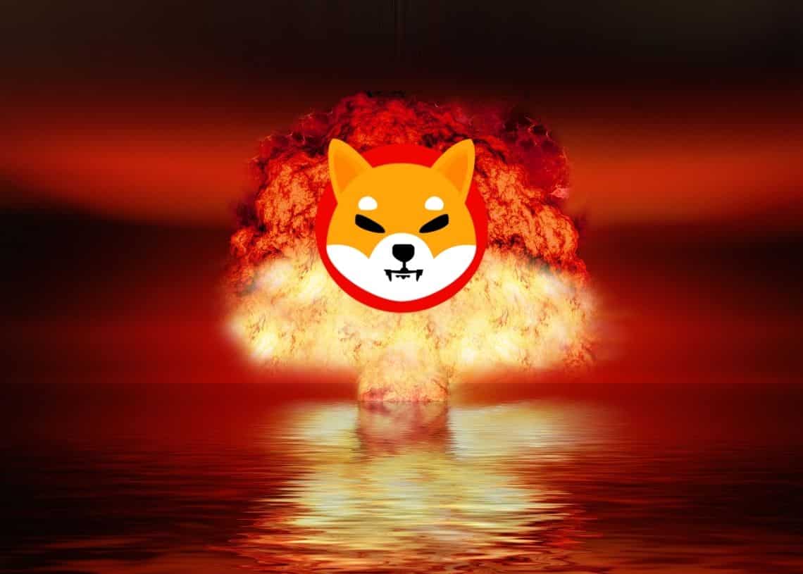 Shiba-Inu-SHIB-is-the-fifth-most-popular-platform-on