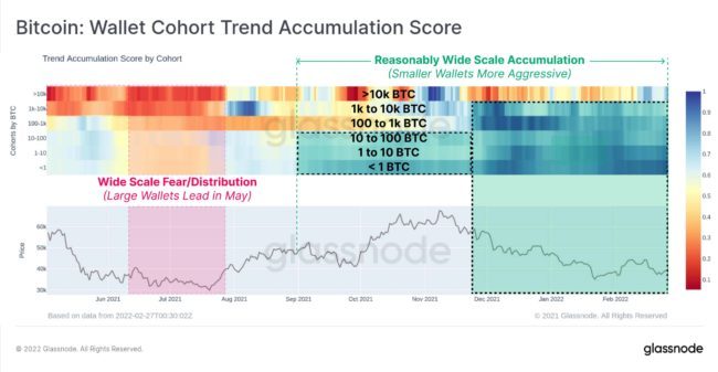Bitcoin Wallet Cohort Trend Accumulation Score