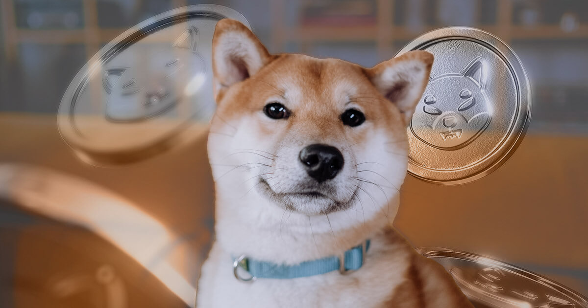 doge-meme-shiba