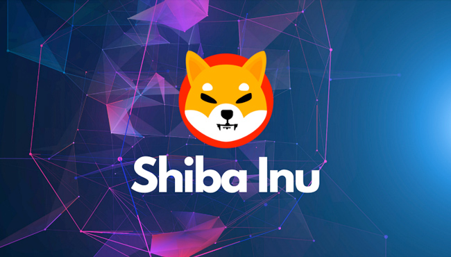 shiba-inu-coin