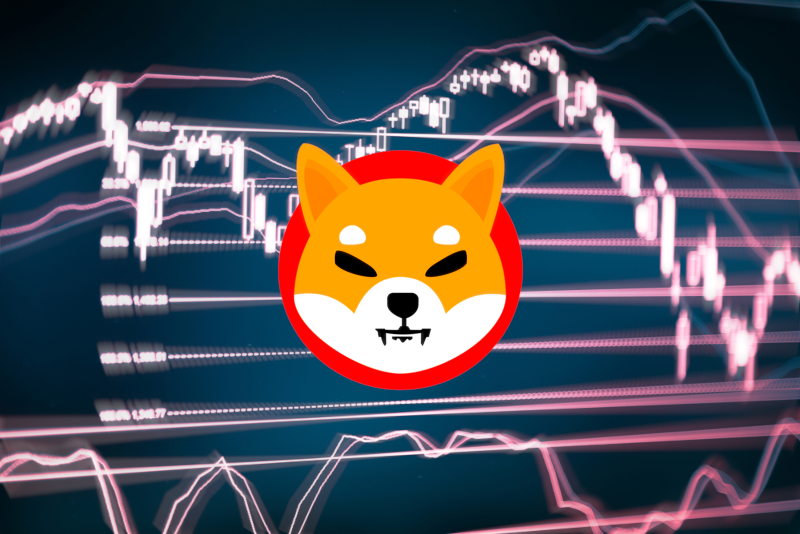 shiba-inu-coin