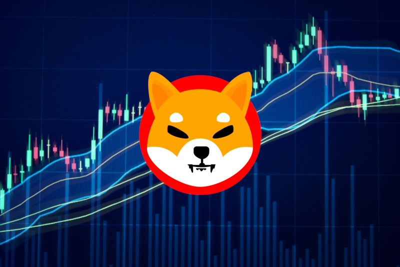 shibainu-price