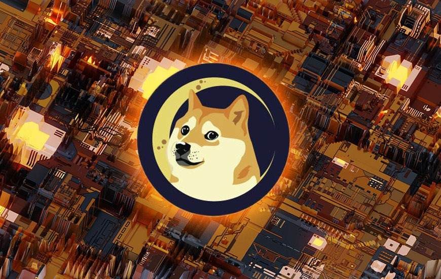 DOGE-5