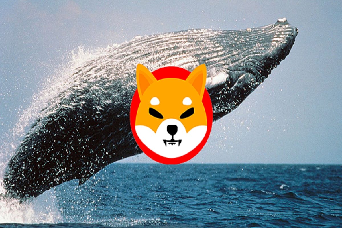 Whales Move 4 Trillion Shiba Inu