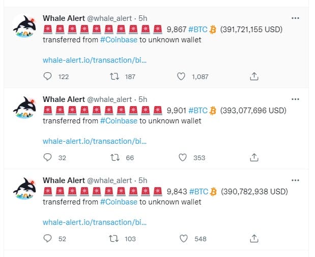Whale Alert BTC transfer
