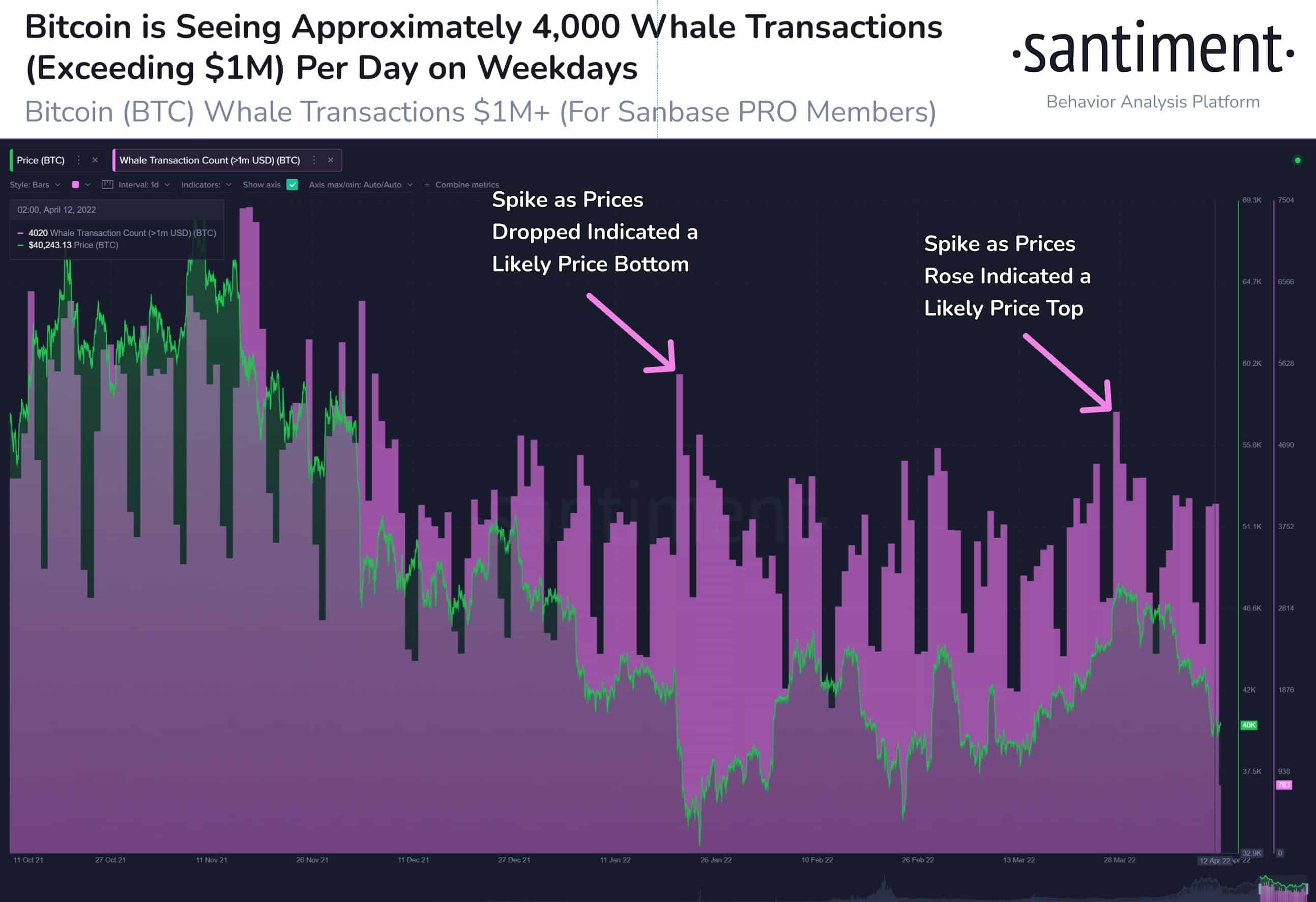 BTC whale trade remains steady amid price drop