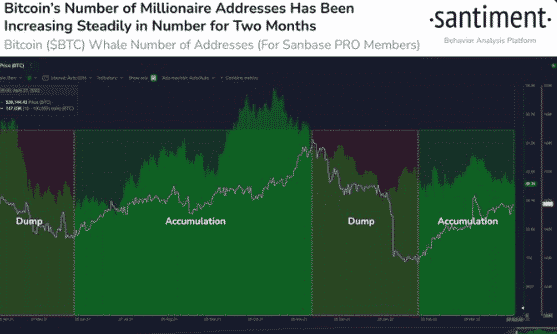 Bitcoin (BTC) Whale Addresses