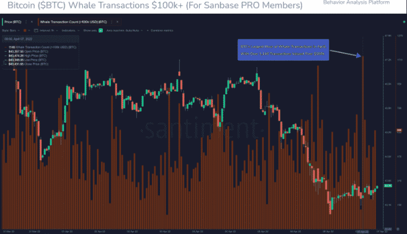 Bitcoin Whale Transactions
