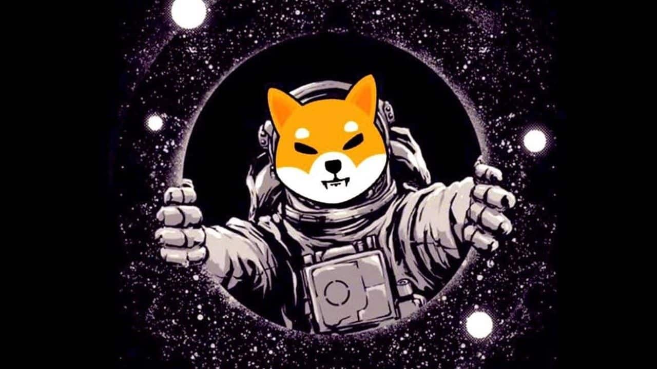 Shiba-Inu-8