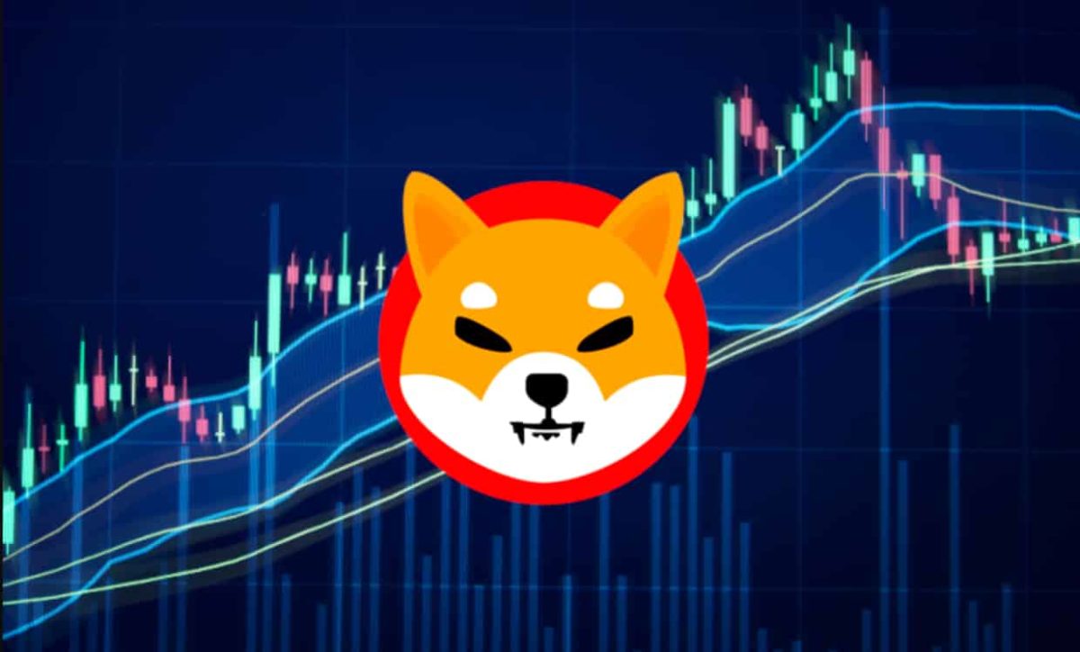 Shiba Inu (SHIB) Price Soars 6% In A Day, Here's Why