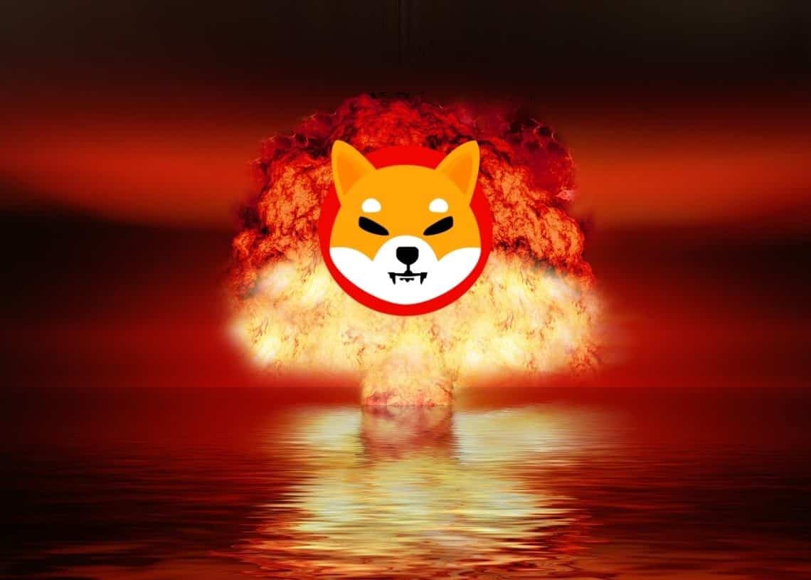 Shiba-Inu2