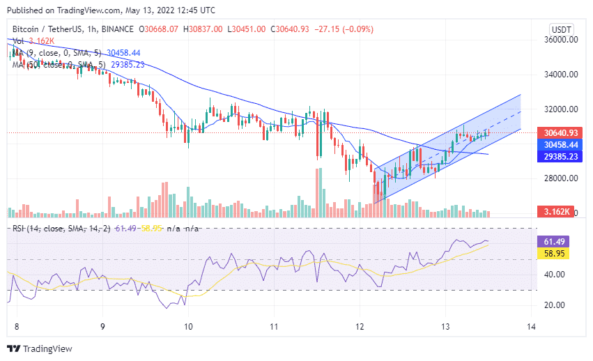 Bitcoin (BTC)