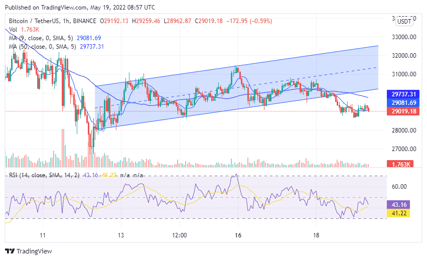 Bitcoin (BTC) Chart