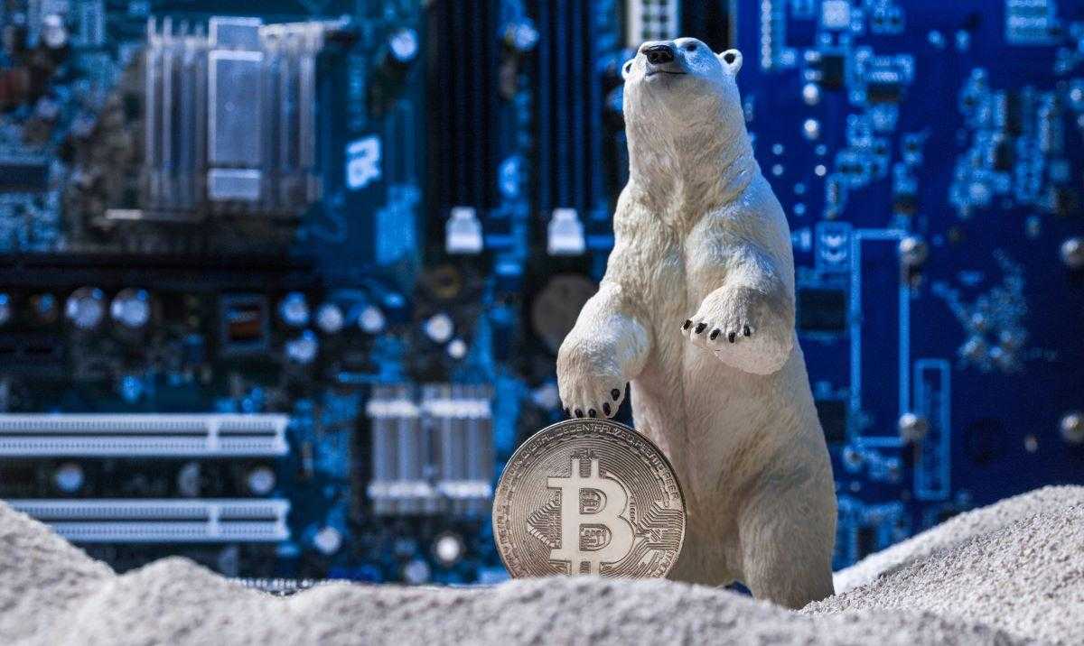 Crypto-Winter