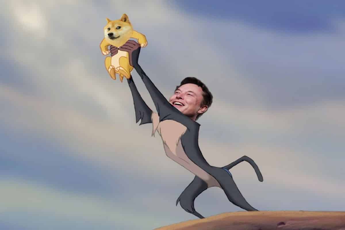 doge dogecoin elon musk