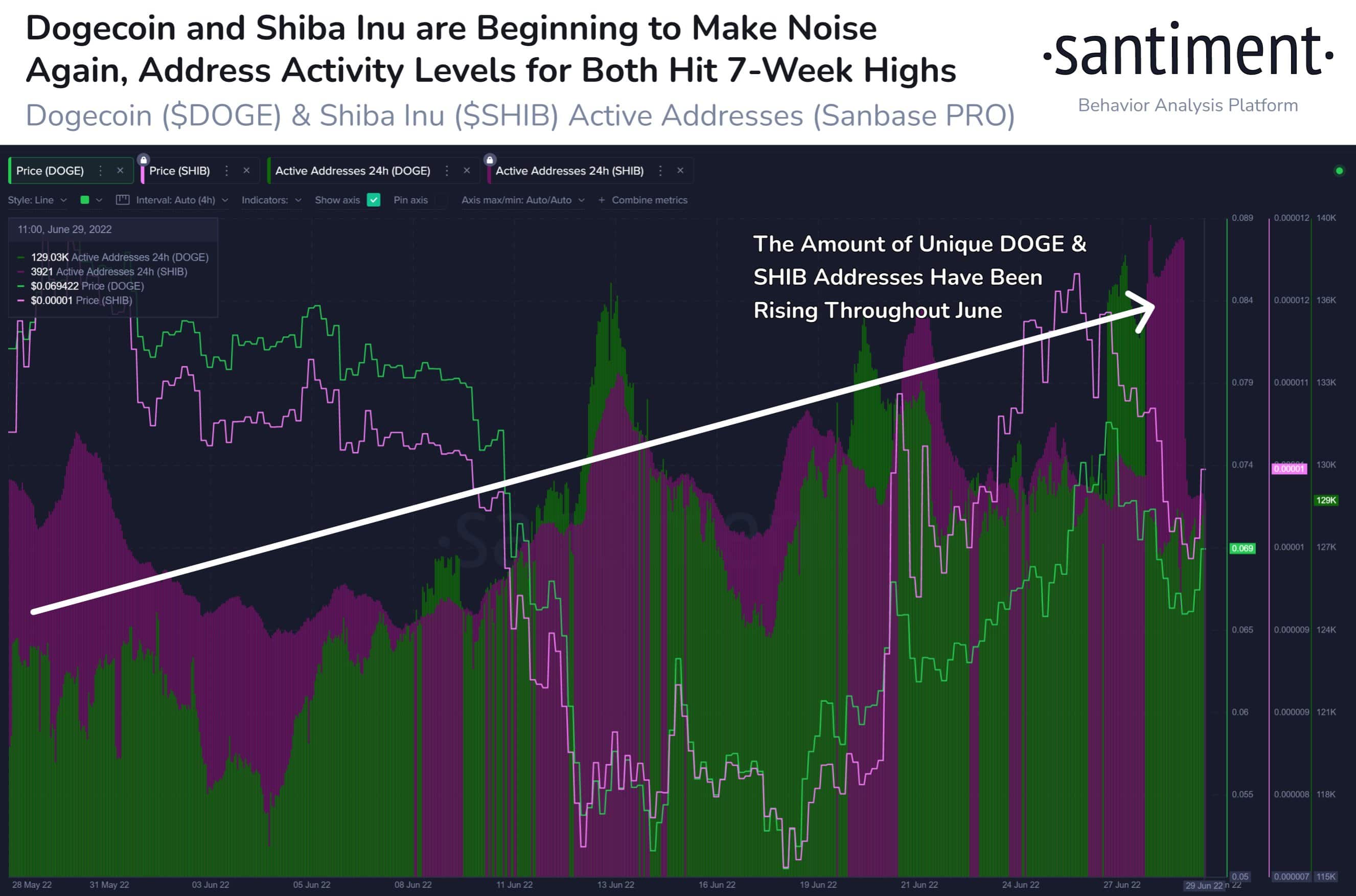  Dogecoin and Shiba Inu Active Addresses