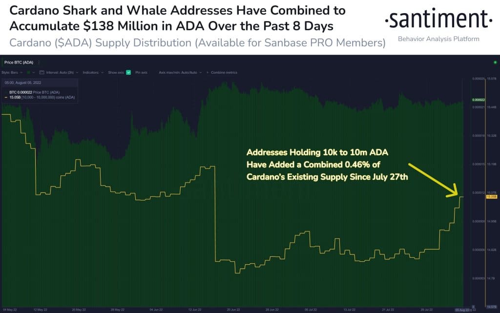 Cardano (ADA) Accumulation by Whales and Sharks