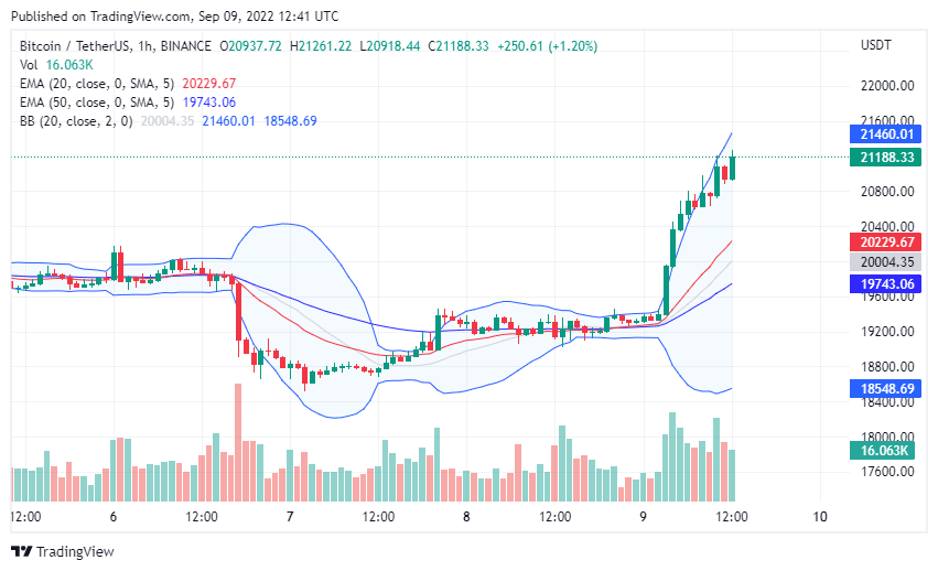 Bitcoin (BTC) Price Daily Timeframe