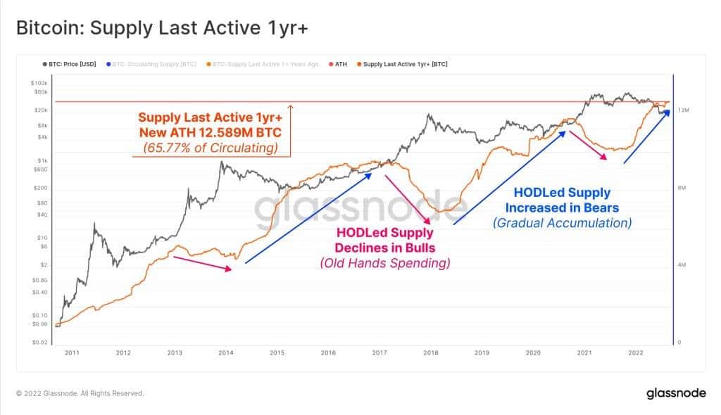  Bitcoin Supply Last Active 1yr