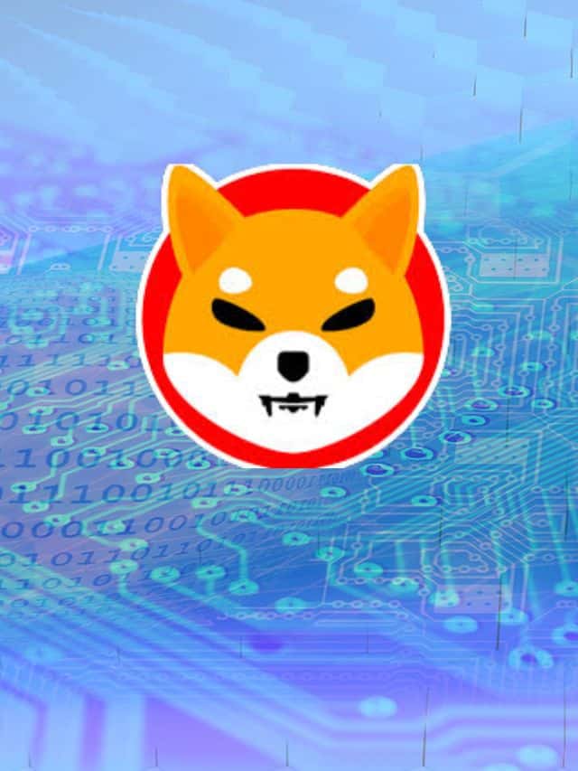 Shib