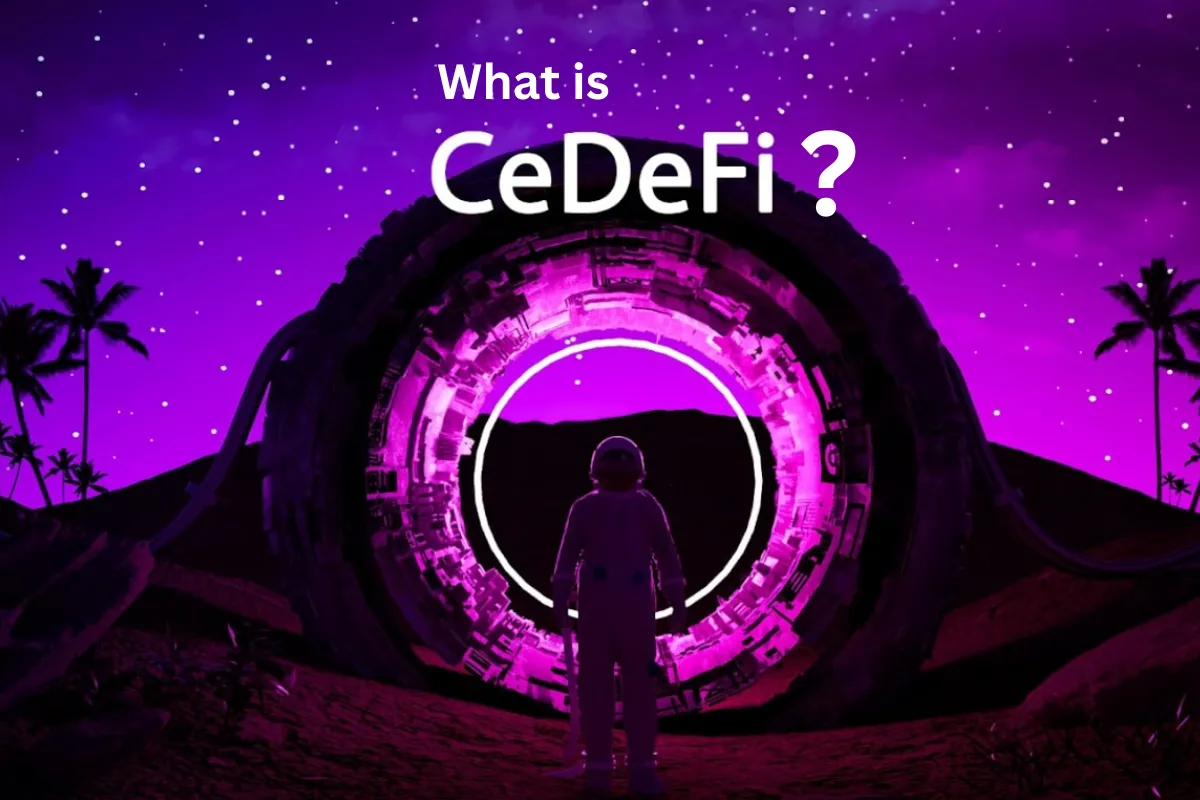Cefi vs defi