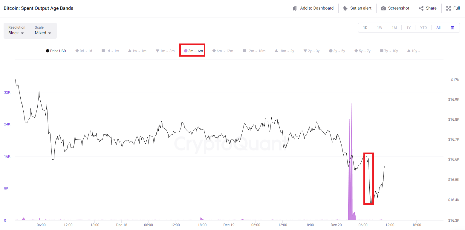 Bitcoin Spent Output (3-6 Months)