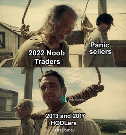 crypto memes 2022 