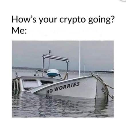 crypto memes 2022 