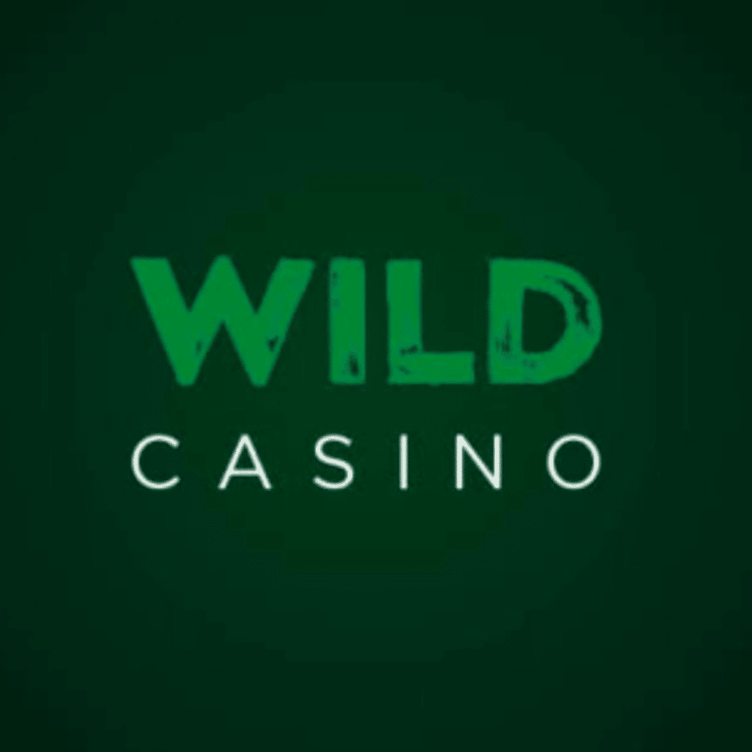 Wild Online Casino in New York