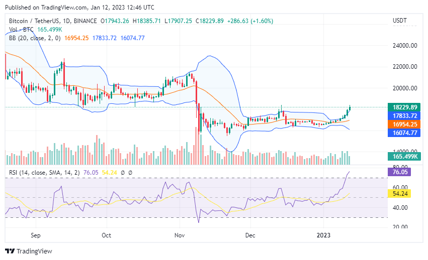 Bitcoin price