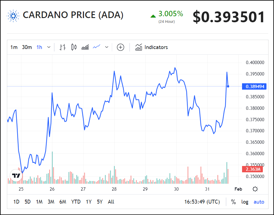 cardano stablecoin djed