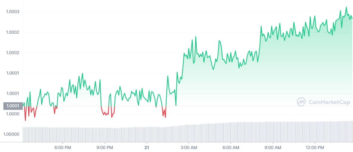 Stable Coins: USDT