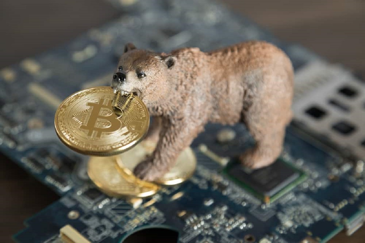 Bear Market