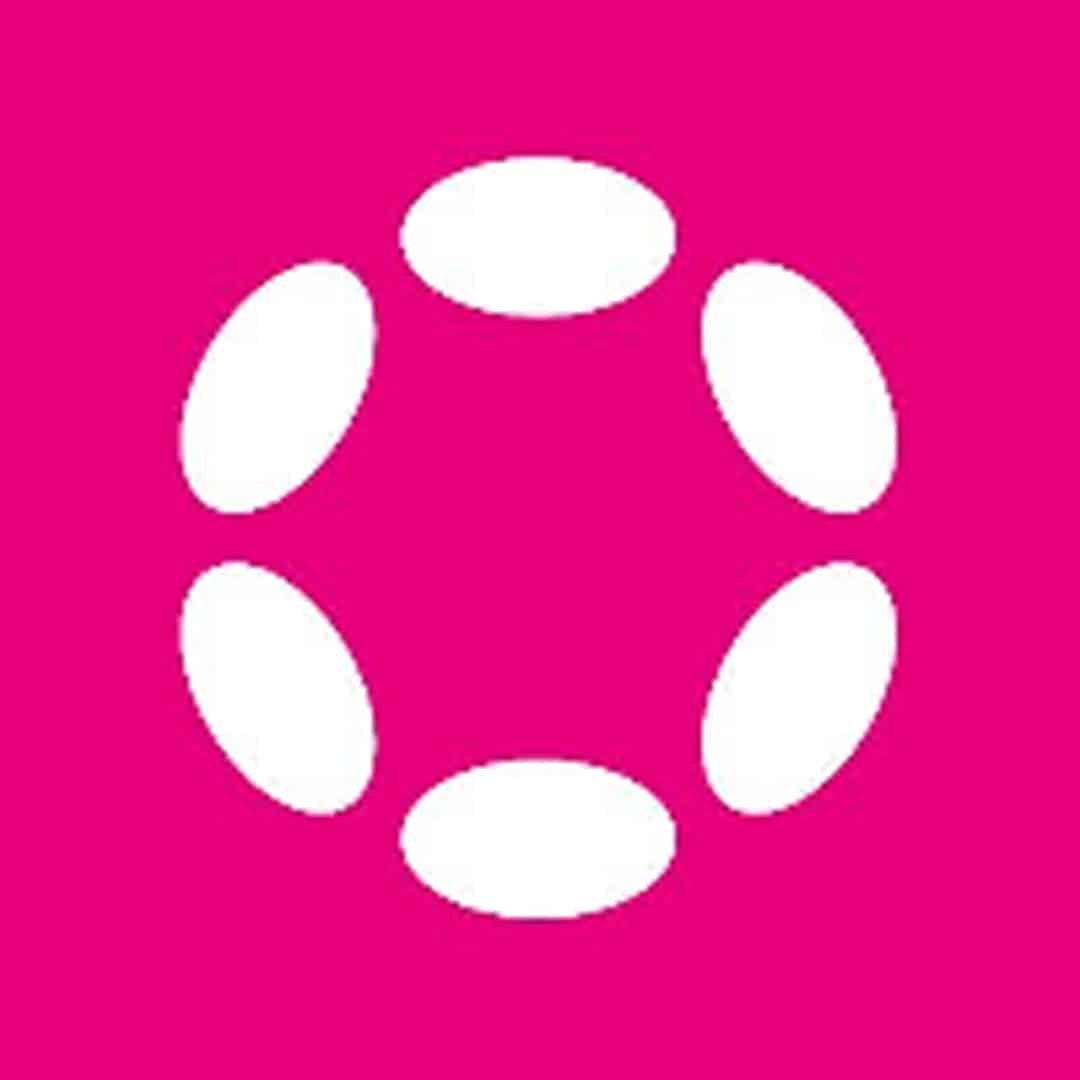 Polkadot-China_coins