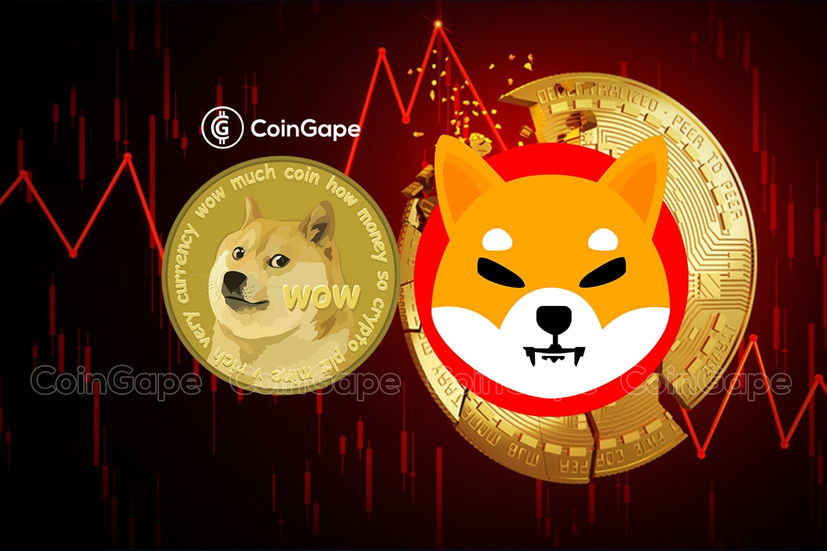 Why Shiba Inu Is Down 50% Today?